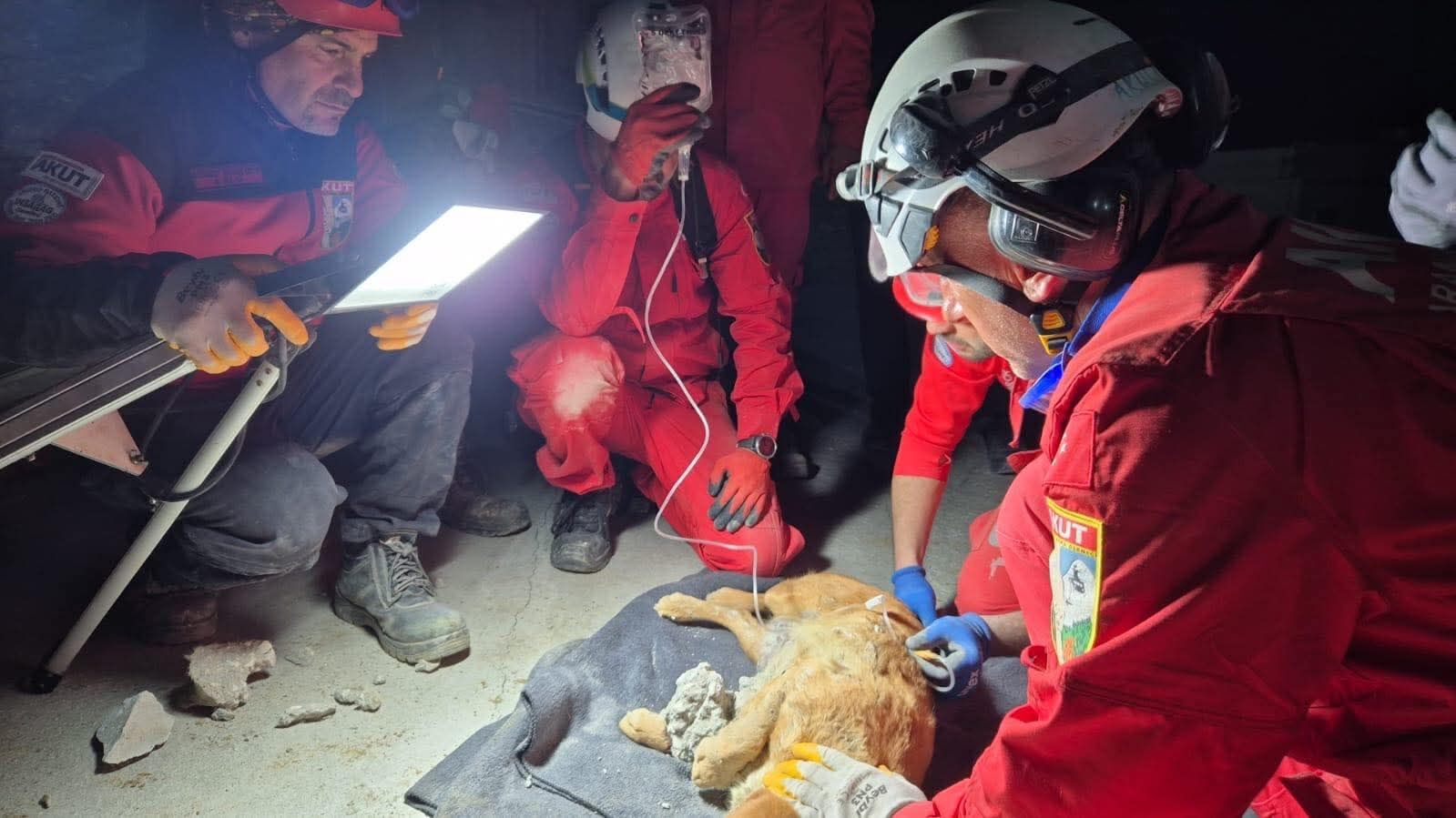 Betona Sikisan Can Dostuna Akuttan Yardim Eli 648368 6F6E814831Cbe638A09F5Cf73Cb87C48