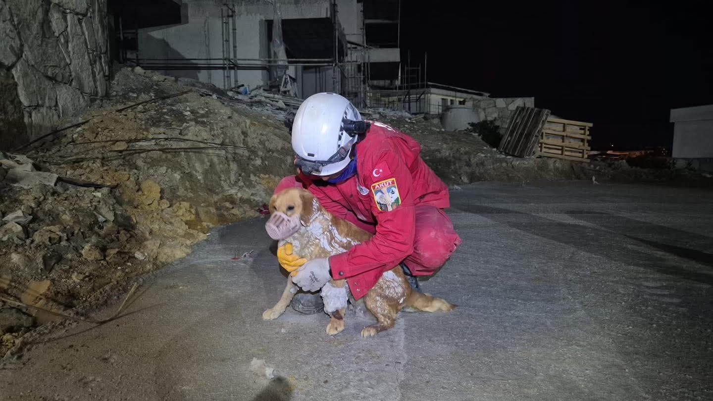 Betona Sikisan Can Dostuna Akuttan Yardim Eli 648368 A004037Cc943C318E6C03D70F608A21D