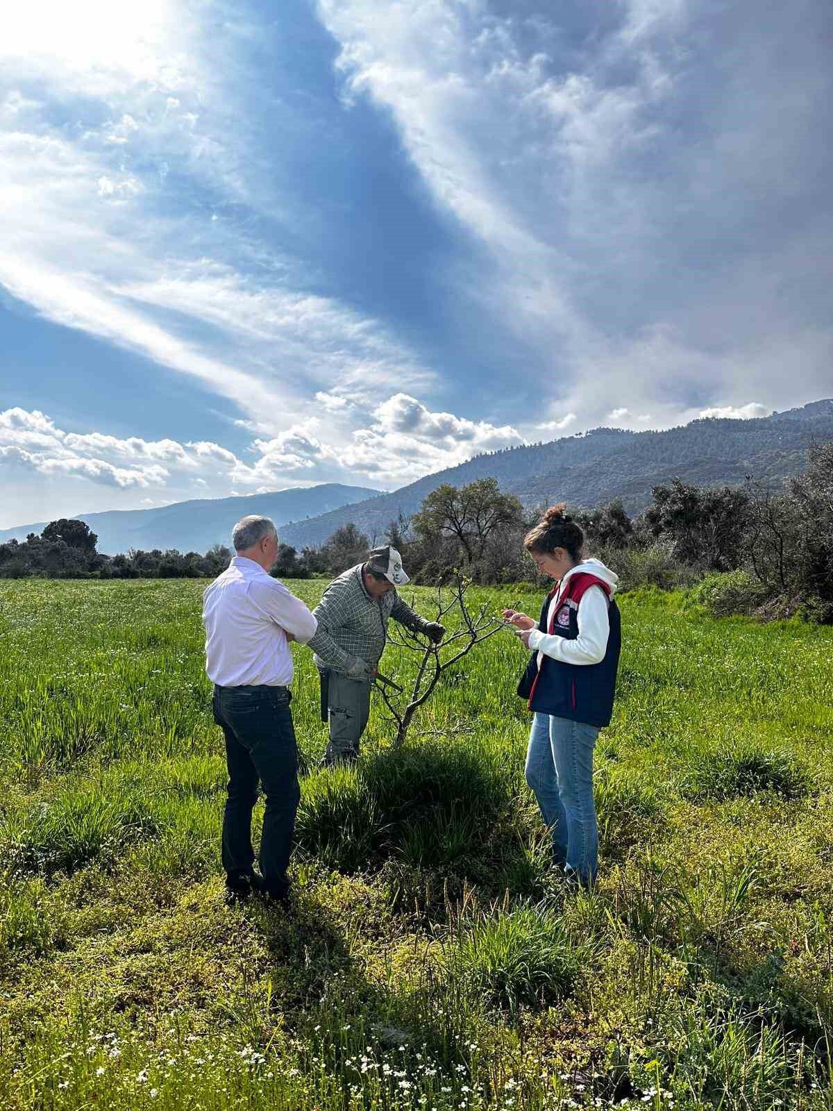 Bozdogan Ilce Tarim Ve Orman Mudurlugu Ekipleri Ilek Bahcesinde Bakim Yapti F78Cbfd9A57796E77Aeef024F1Bf2D55