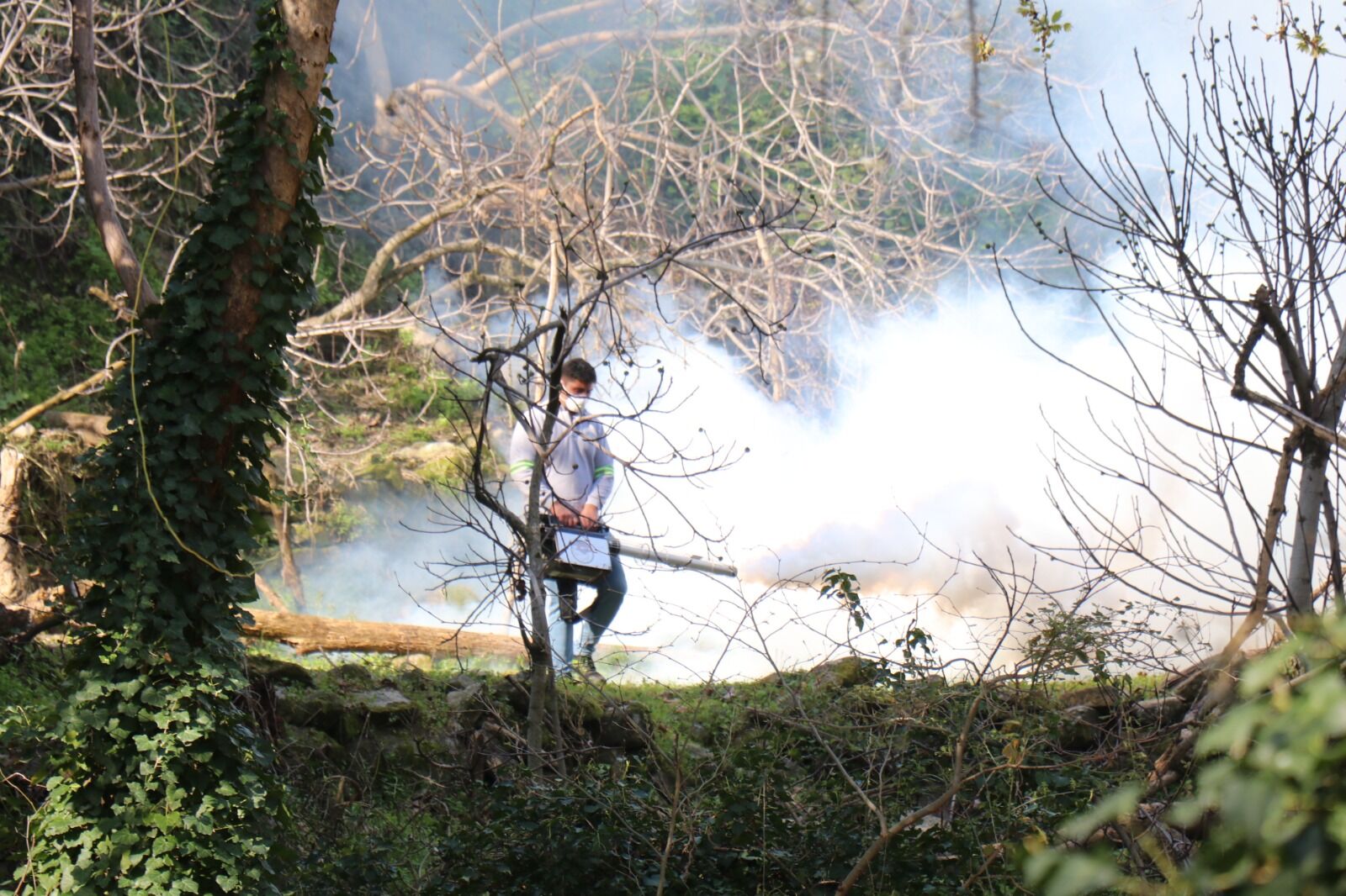 Bozdoganda Ilaclama Calismalarini Araliksiz Surduruluyor 647675 4B5B599Cb2Cd561940E7Ed5406D664D0