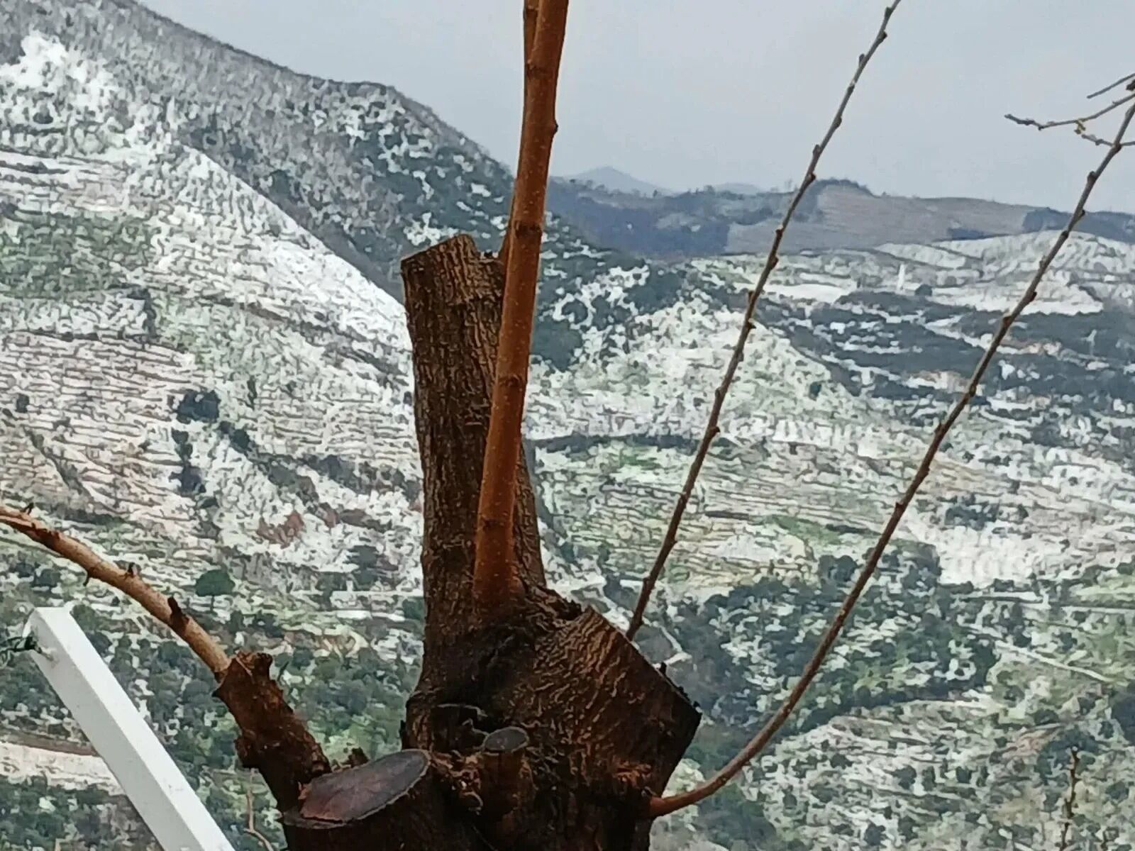 Burasi Dogu Degil Burasi Ege Sultanhisarda Daglar Beyaza Burundu 649851 A460710D5A62F304F4E6C0Ac7A88Ccd0