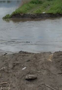 Buyuk Menderes Nehri Incirliovada Yine Tasti 650776 10F1C80F881Dc77004F99Bd3784Ce243