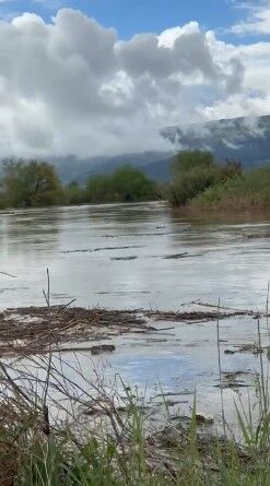 Buyuk Menderes Nehri Incirliovada Yine Tasti 650776 4Ce3877Aaf1Eb9F7C8A412Bb43D2A985