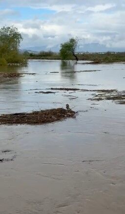 Buyuk Menderes Nehri Incirliovada Yine Tasti 650776 5742C44Cc8F5C7Aed55Bbbf31A6Cde4A