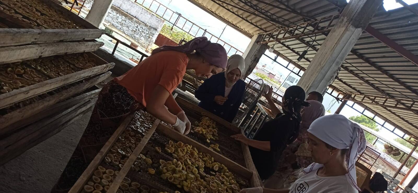 Cennetten Gelen Tatlar Ile Tarimin Zirvesine 646322 53C0Fa9A207188F5E67Fb028C99107D1