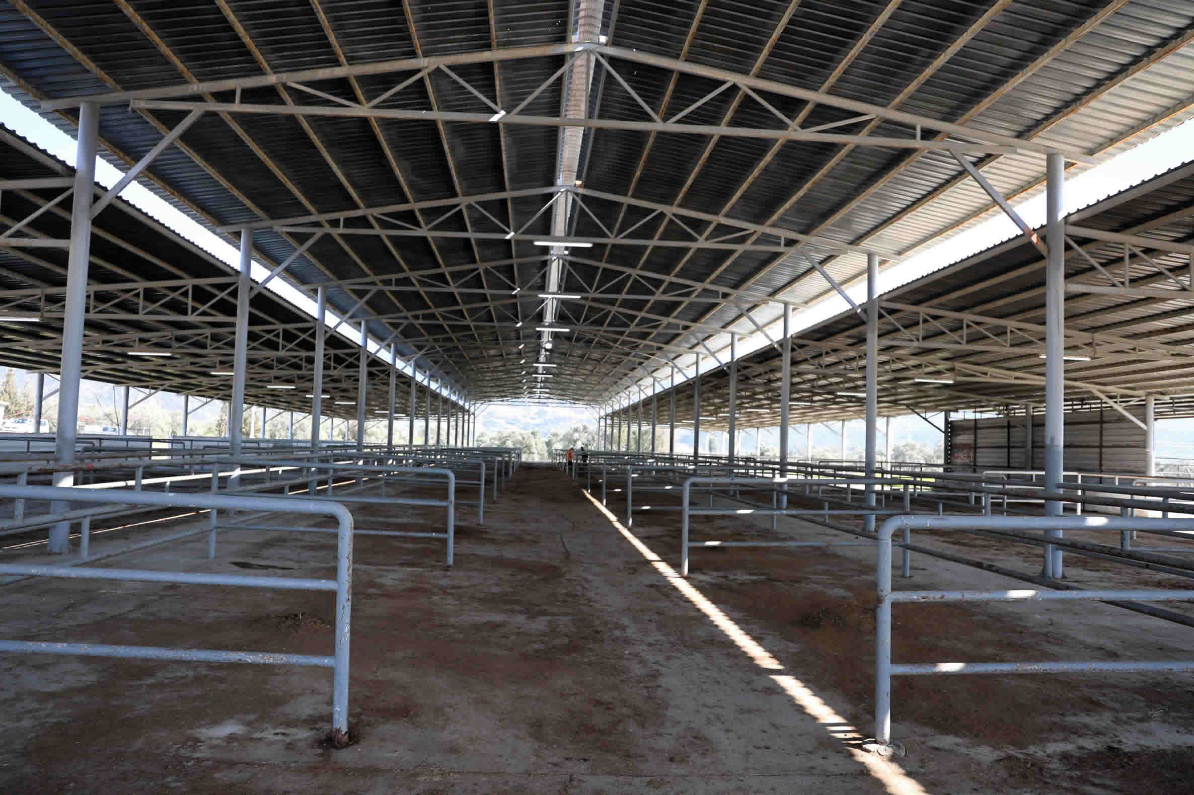 Cine Hayvan Pazari Yeniden Aciliyor 646152 Bbf171D4Fd1A7E7B68B16D75Ef8570D9