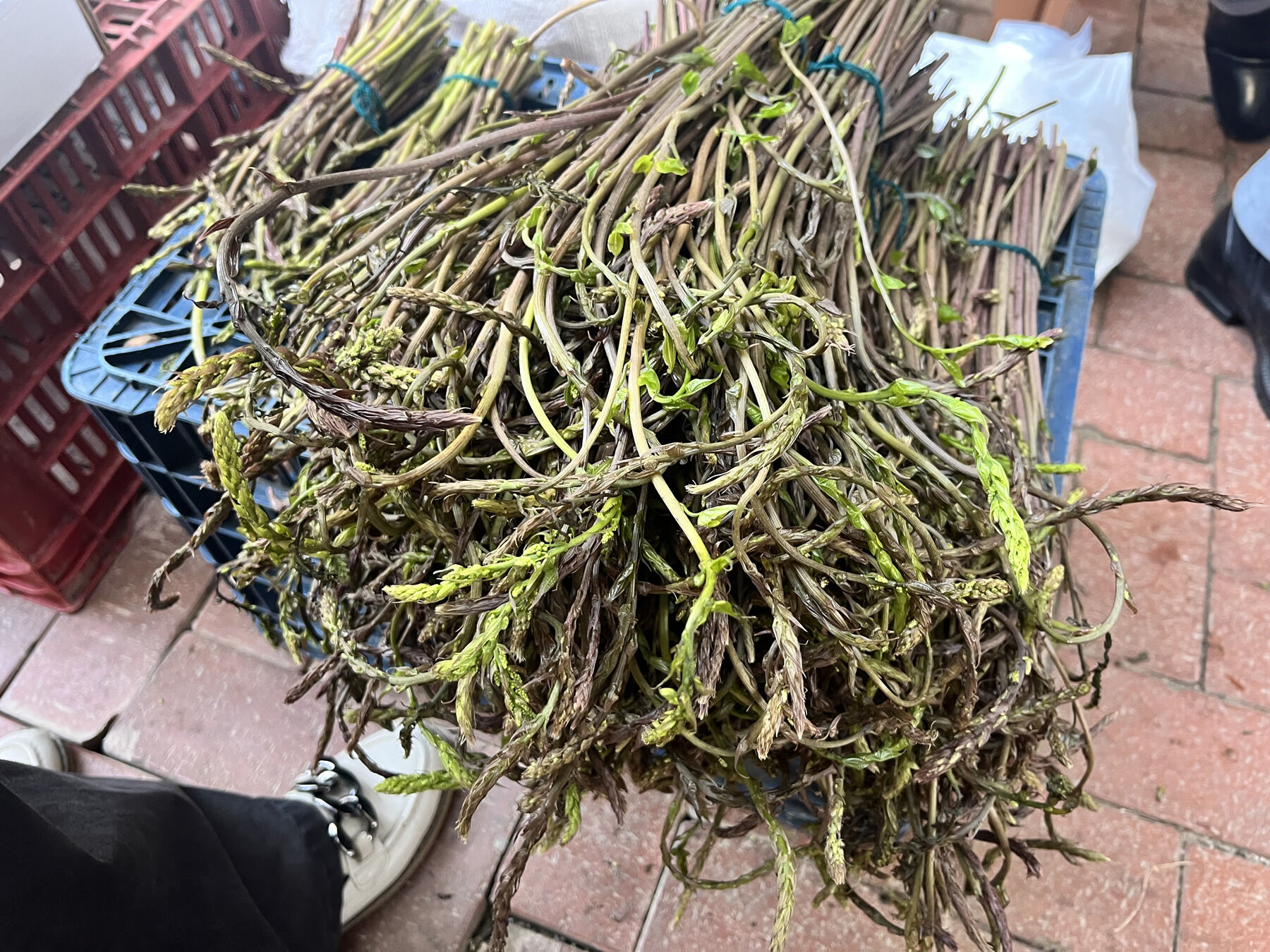 Daglardaki Sifa Kapis Kapis Satiliyor Nazillide Baharin Gozdesi 644966 8Ab4Ae4A598891B04B5B40E609Aa907F