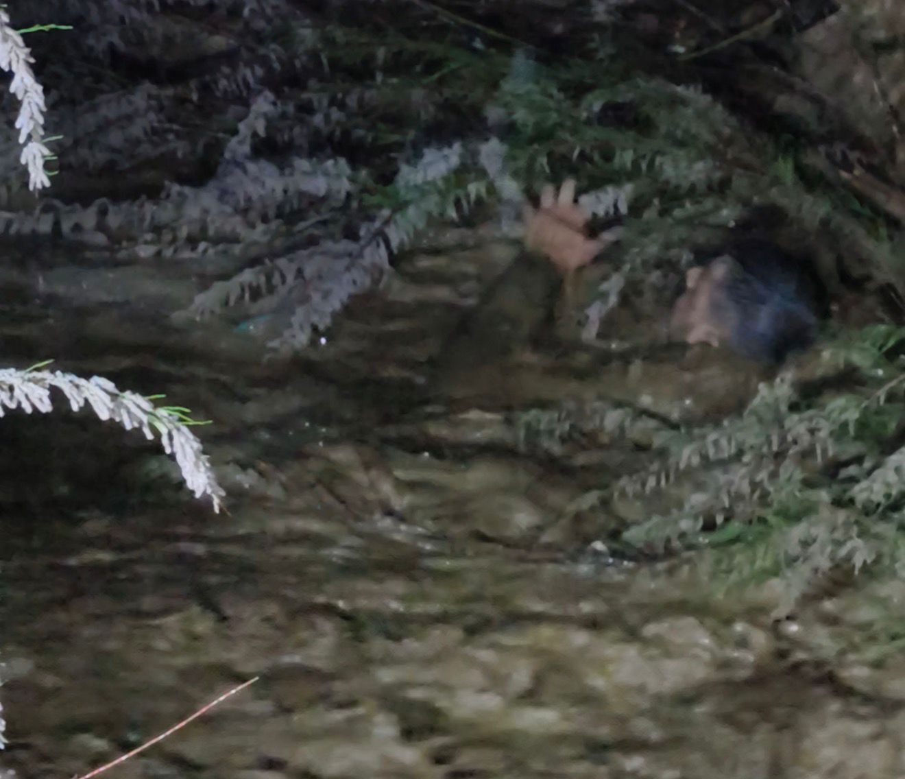 Dala Tutundugu Gibi Hayata Da Tutundu Nazilliden Iyi Haber 651040 3Dc5073A5Dc0644526Eacf2E48993D63