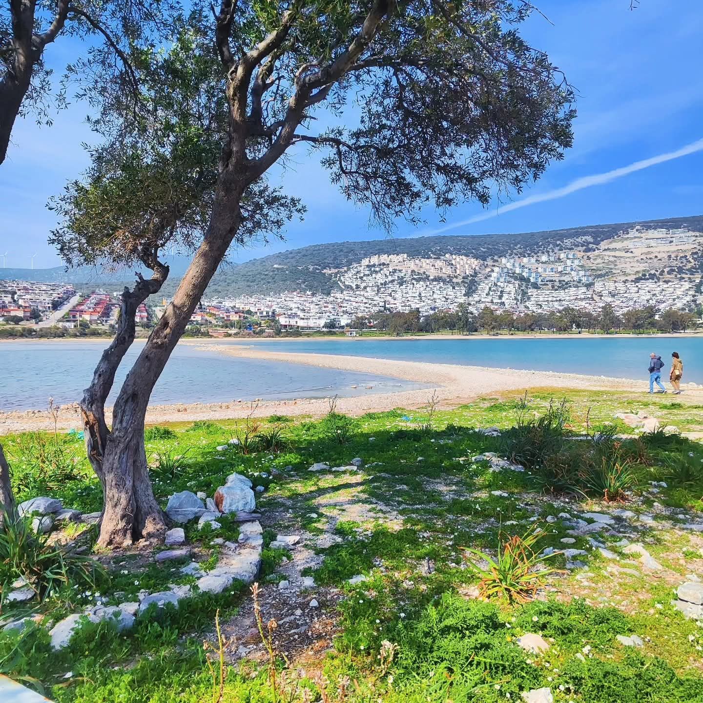 Deniz Cekildi Sapli Adada Karayla Baglantisi Ortaya Cikti 648247 456A67D396Bafe2F2A82B98F6959E168