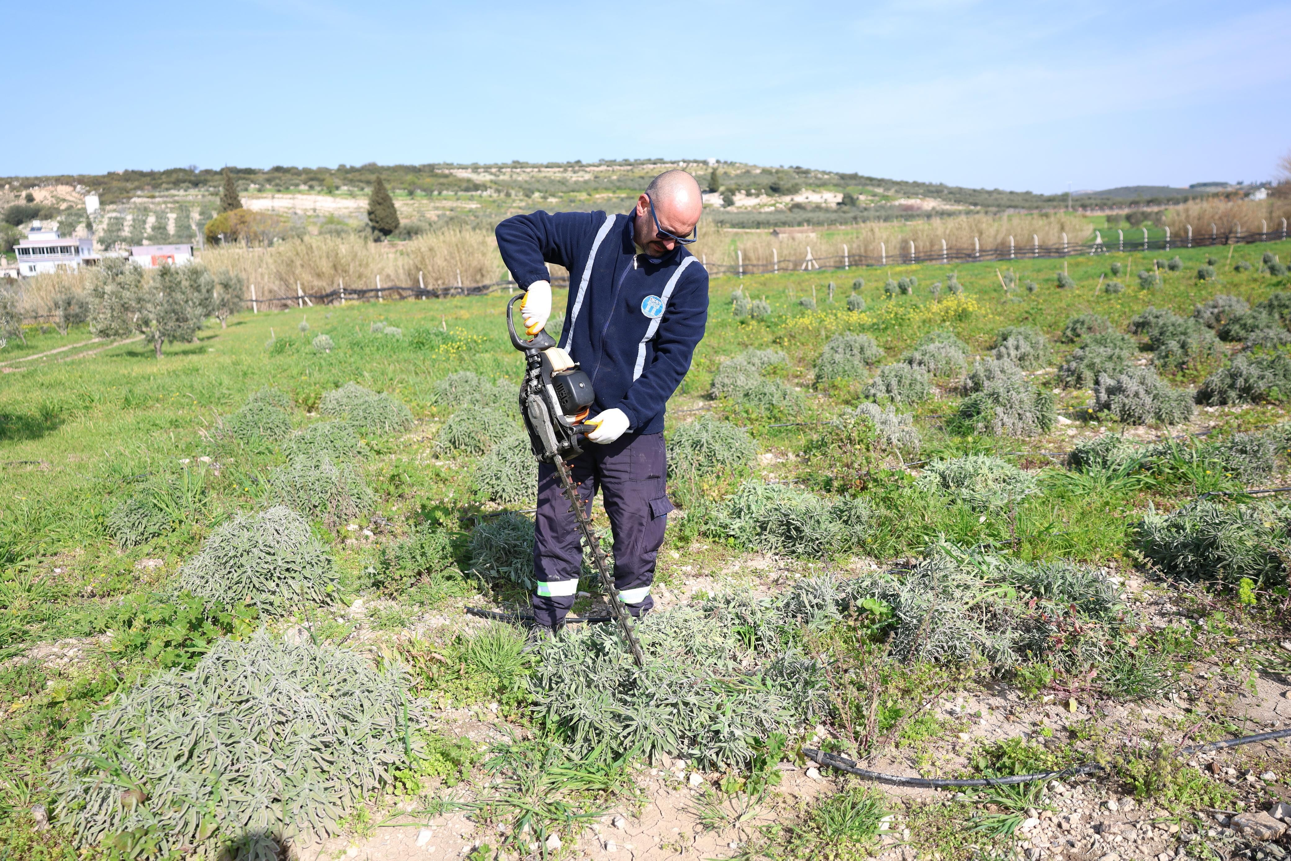 Didim Belediyesinden Uretken Belediyecilik Uygulamasi 644592 Eb1B0F89D4D58E72Dffe162B856D39D7