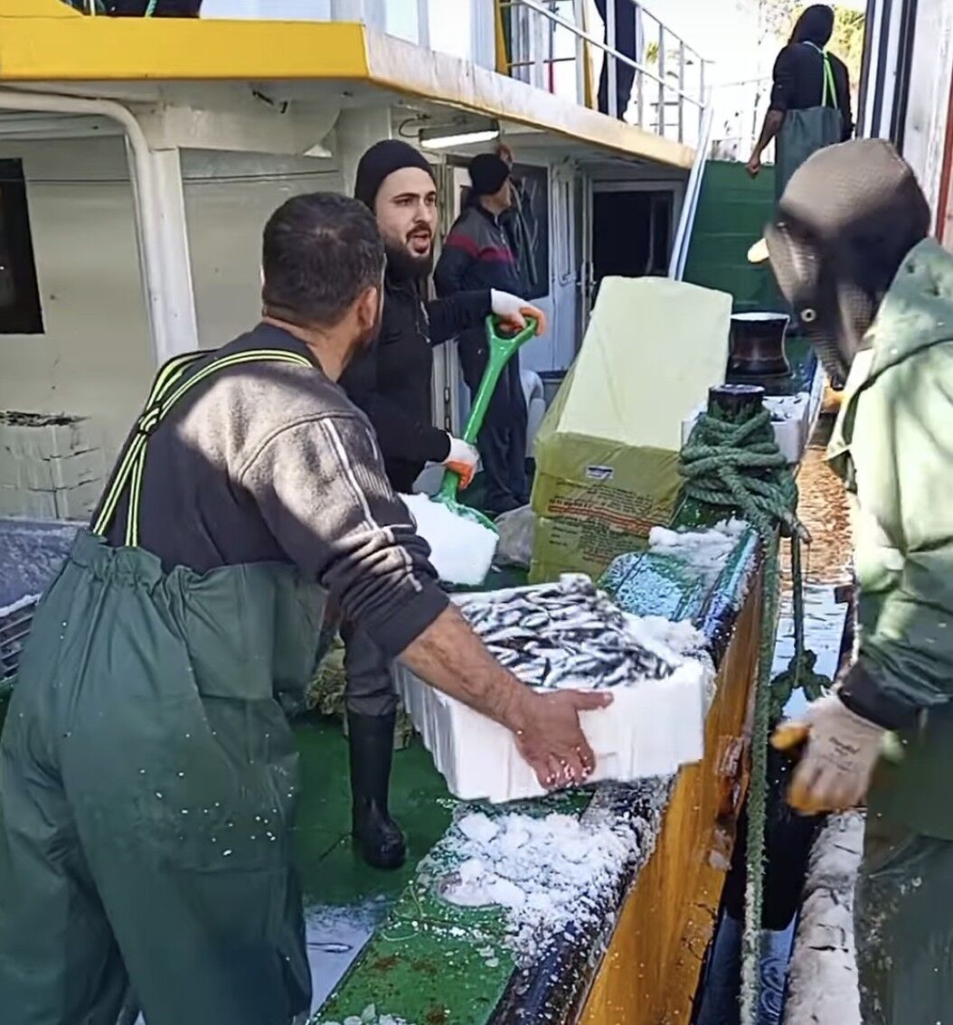 Didimde Balik Bollugu 643607 468572E3676322D3Cfda899C3C219286