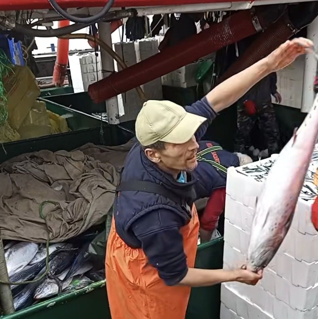 Didimde Balik Bollugu 643607 79426F8096238D0Bb02Afc055Cc225Fe