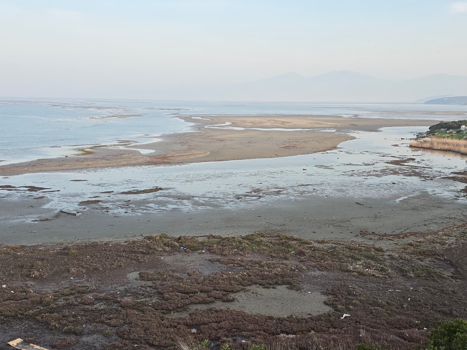 Didimde Doga Olayi Denizdeki Cekilme Bu Yilda Gerceklesti 643818 C1Dc63F290E0226Efa582F501822120D