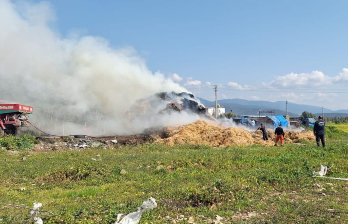 Didimdeki Besi Ciftliginde Yangin 644521 9F6B8006Abce157C63209Adb22148Ae6