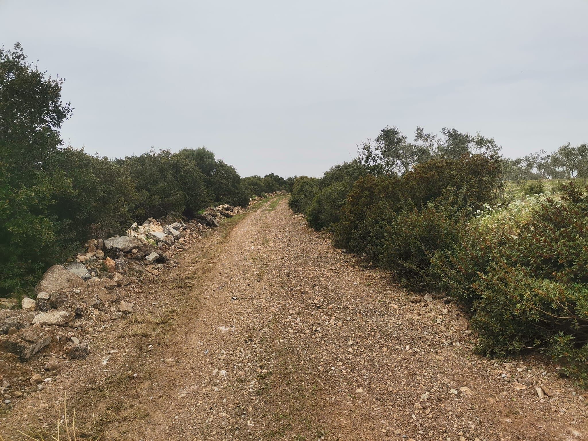 Didimli Ureticinin 24 Yillik Yol Cilesi Sona Erdi 648271 Ce5268Ebf464Ed0676765Db50Fa35581