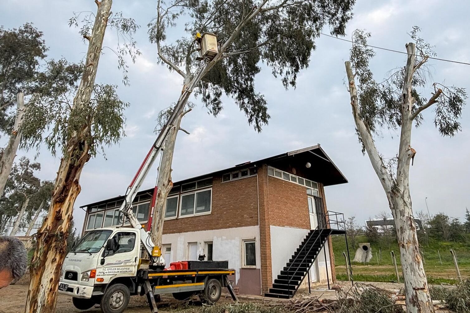 Efelerde Guvenli Yesil Alan Seferberligi Tepecik Mesire Alani Yenileniyor 649551 Cf56Bff0E0C4E8Bd061Bbb98398A58Ba