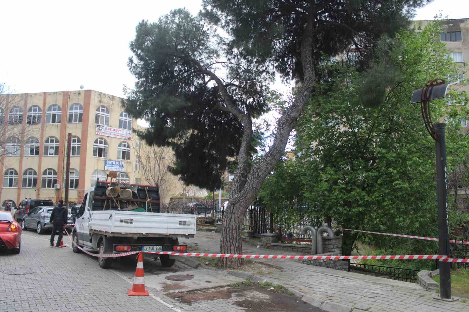 Efelerde Yagislara Dayanamayan 2 Agac Yan Yatti 7B79B753A6F781590474Ceffbfc5961D