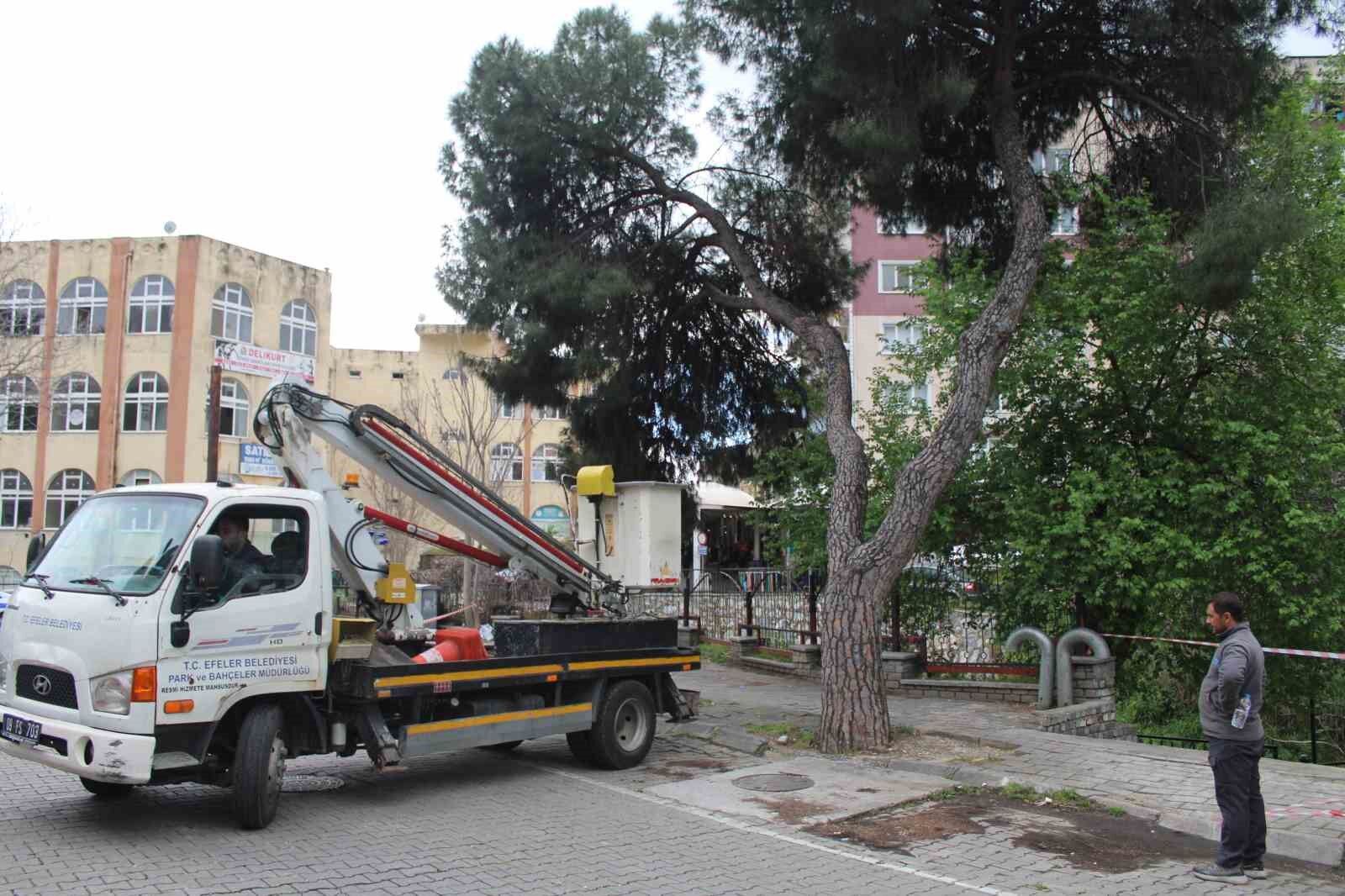 Efelerde Yagislara Dayanamayan 2 Agac Yan Yatti A84Bc8Baac1D9Bc94567Eb9D7B802Cf7