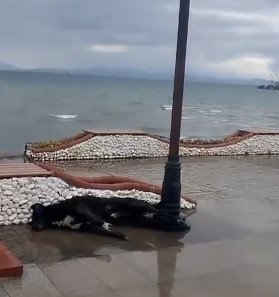 Ekran Resmi 2026 03 31 17.29.27