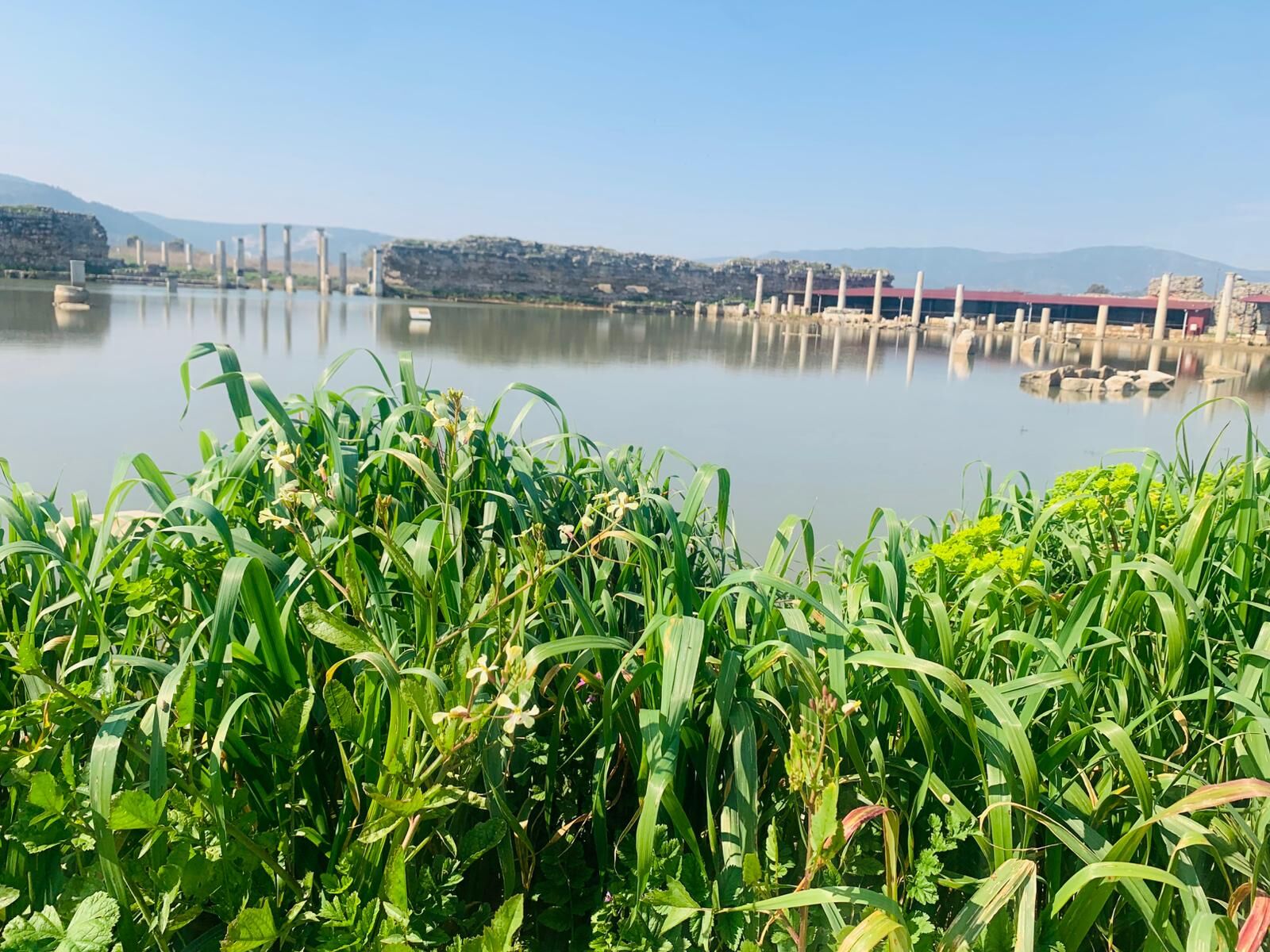 Germencikte Antik Kent Sular Altinda Kaldi 645252 4D28Dae5B994C820Ab68B6D753901Efe