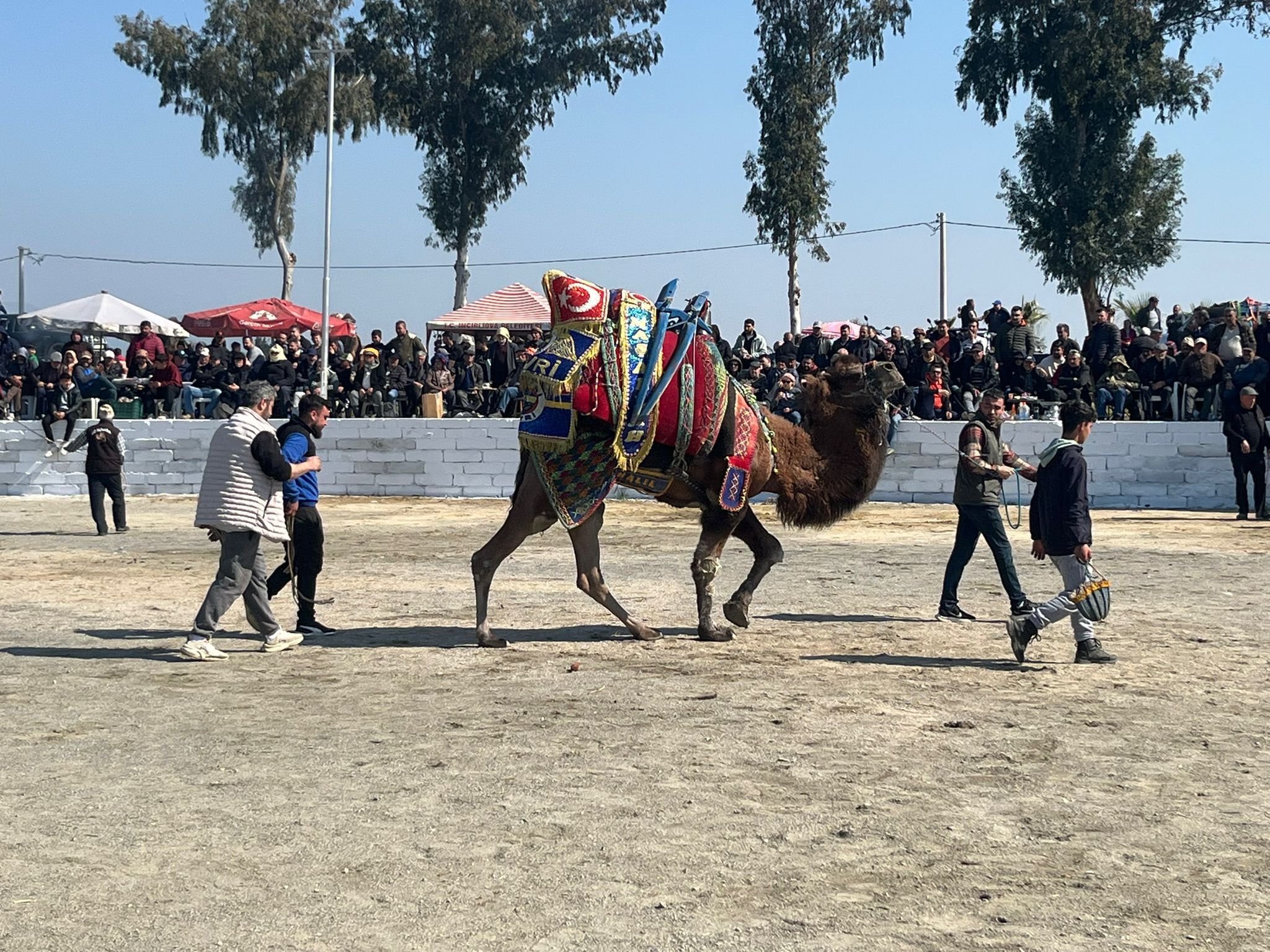 Incirliovada Develer Kiran Kirana Guresti 643350 08660D7E2Ecc55A1E37Dd6985D663651