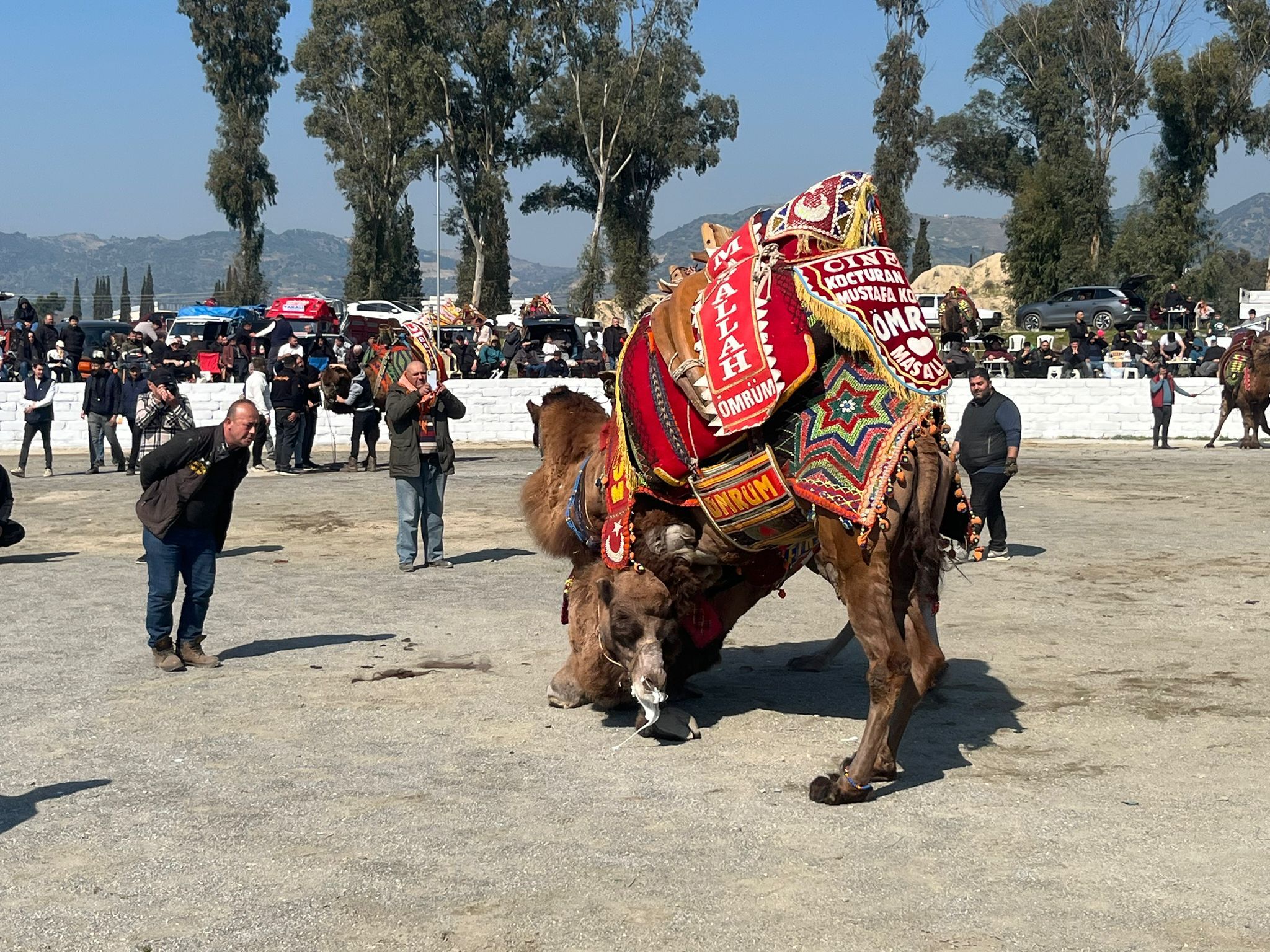 Incirliovada Develer Kiran Kirana Guresti 643350 0Ffa3E8F5A1D96B428F7567Fc88C271D