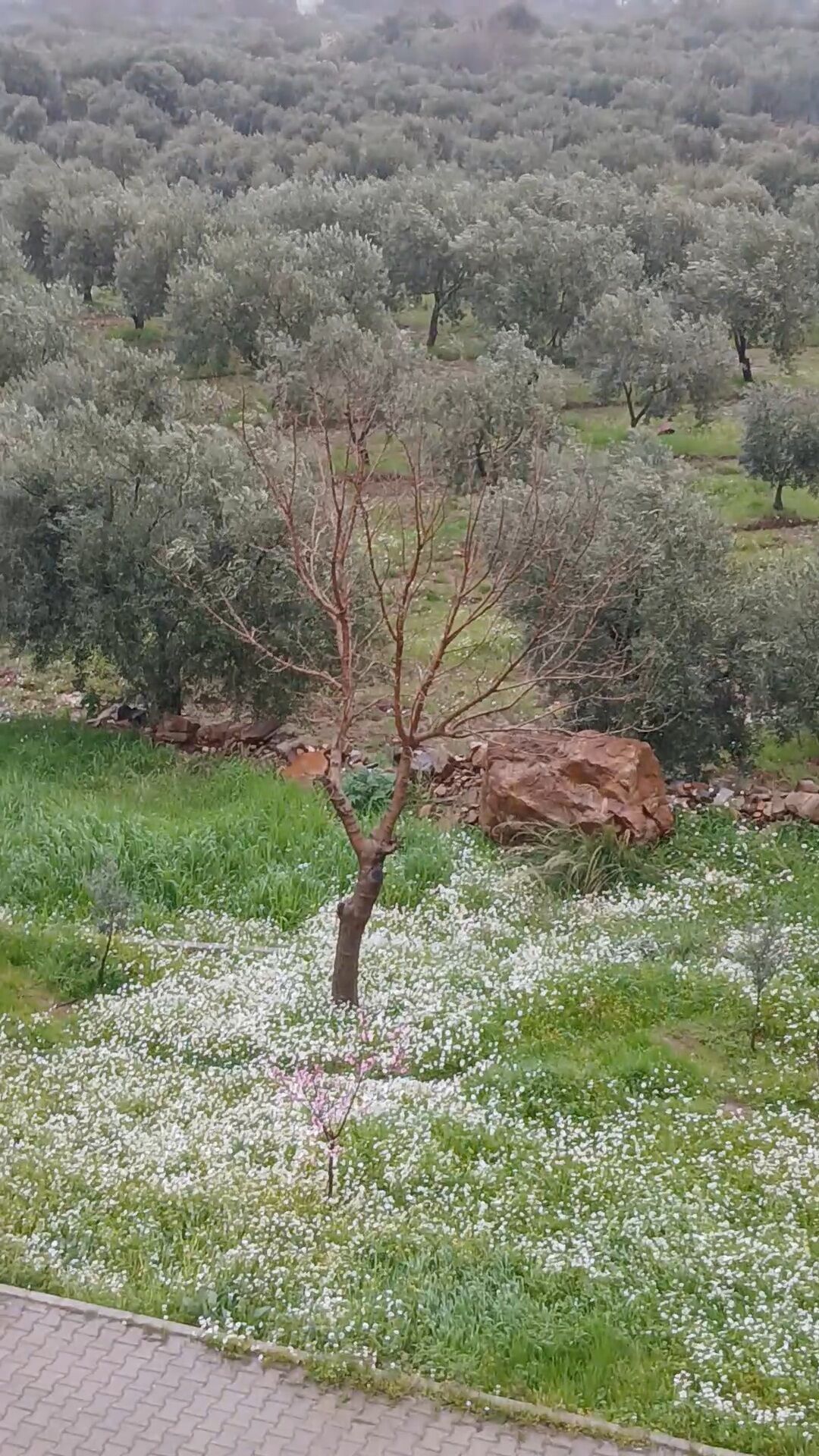 Ka 650635 05E0B6808002C5088Abc28E6C13Ffd72