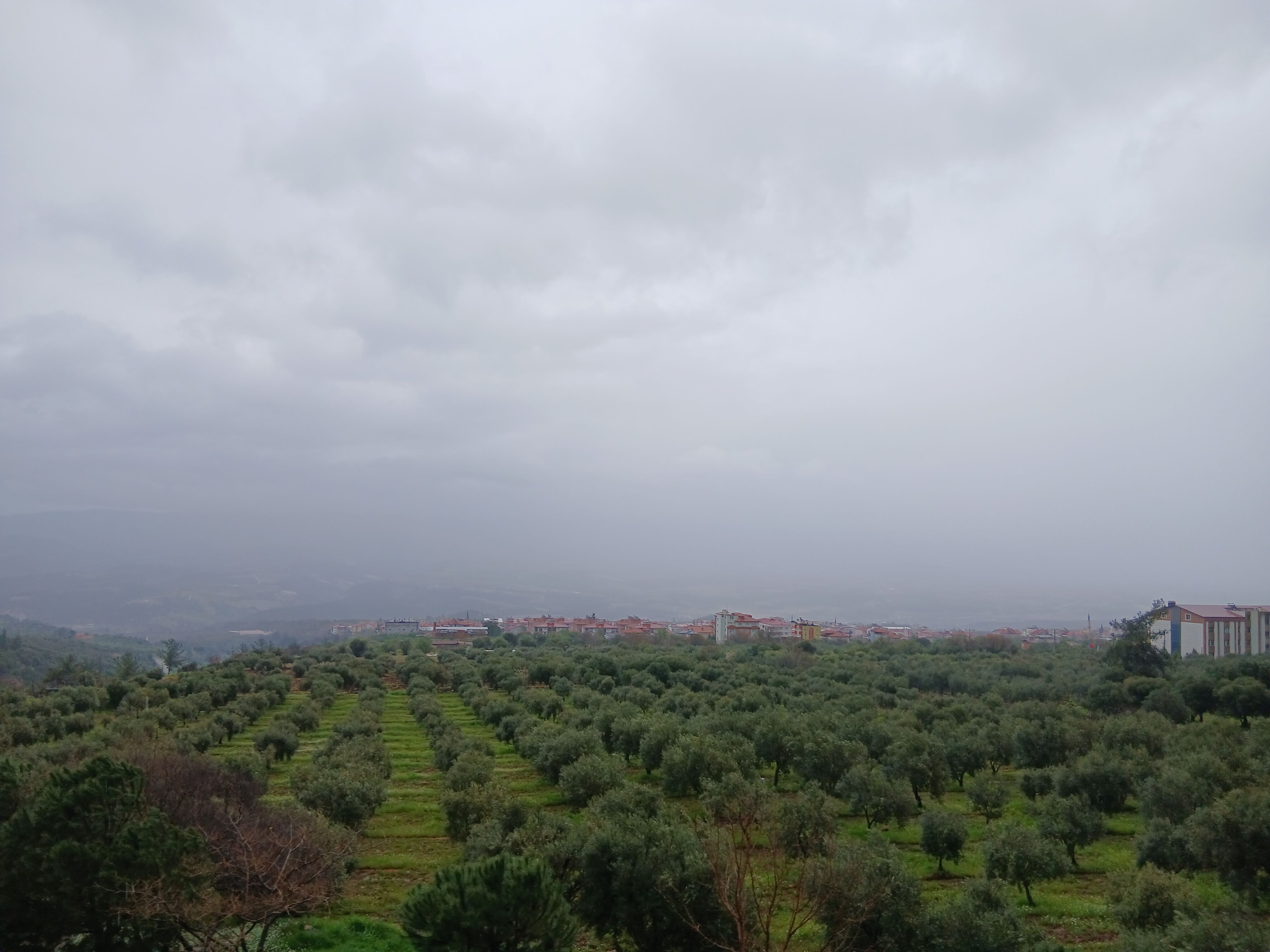 Ka 650635 8C862Cb2A190F7A631226489D142980F