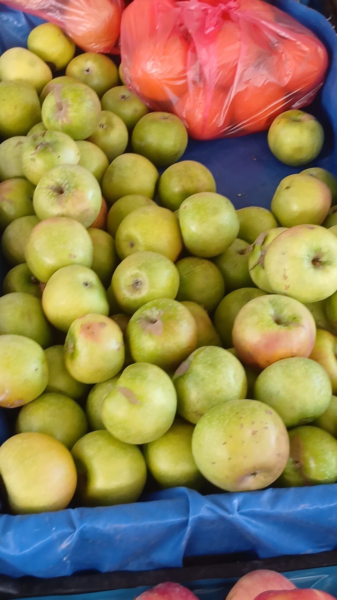 Karacasuda Bu Urunun Yuz Yillara Dayanan Nami Var 646256 C08438Daaaf553236C0B941018D8B98E