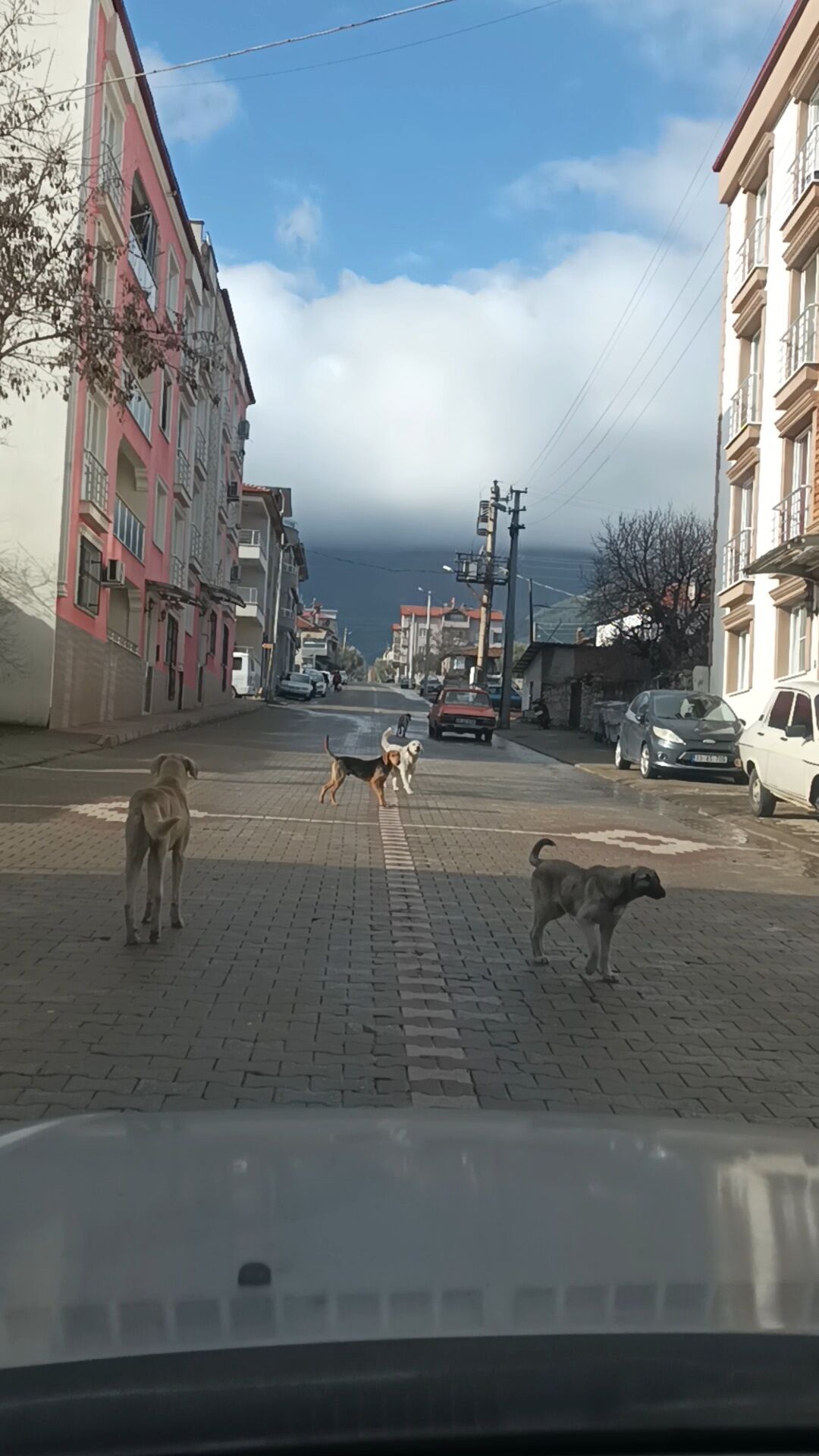 Karacasuda Guvenli Sokak Seferberligi Baskan Demir Ve Vatandaslar Yetkilileri Goreve Davet Etti 650600 Bfebc1Ed306D2788473A55894Ff61484