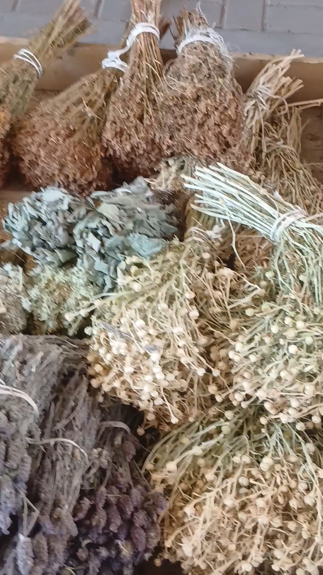 Karacasulu Satici Karadeniz Cayina Kafa Tutuyor 646490 710F0420A49C8E2F865678F7026D852B