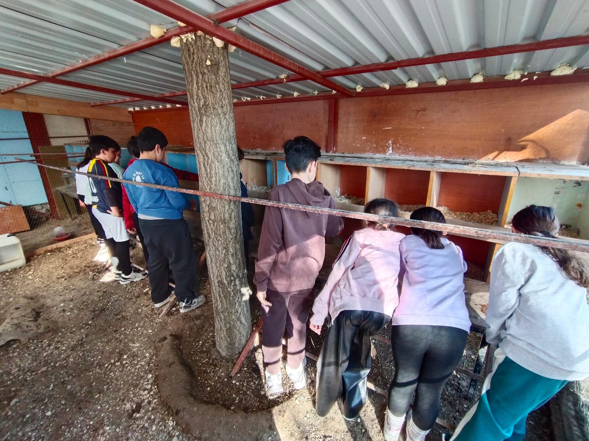 Kusadasinda Egitime Kanatli Dokunus 651042 F344Eef4D08B293514C0Cd6676562B5B