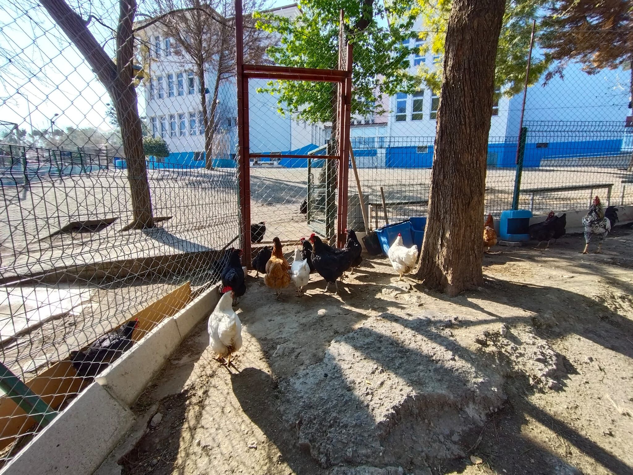 Kusadasinda Egitime Kanatli Dokunus 651042 Fda6D96E53C790D60Df23C6Cbc5E49Fa