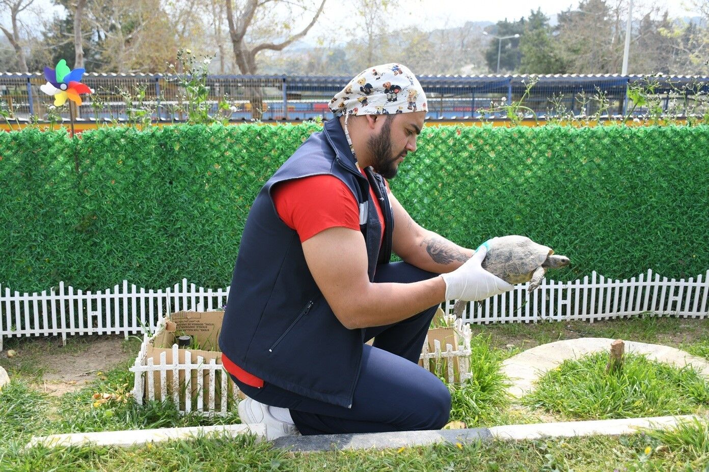 Kusadasinda Kaplumbagalar Icin Ozel Yasam Alani Olusturuldu D3D25Cc50F9499814C87Da008F9B3Ce0