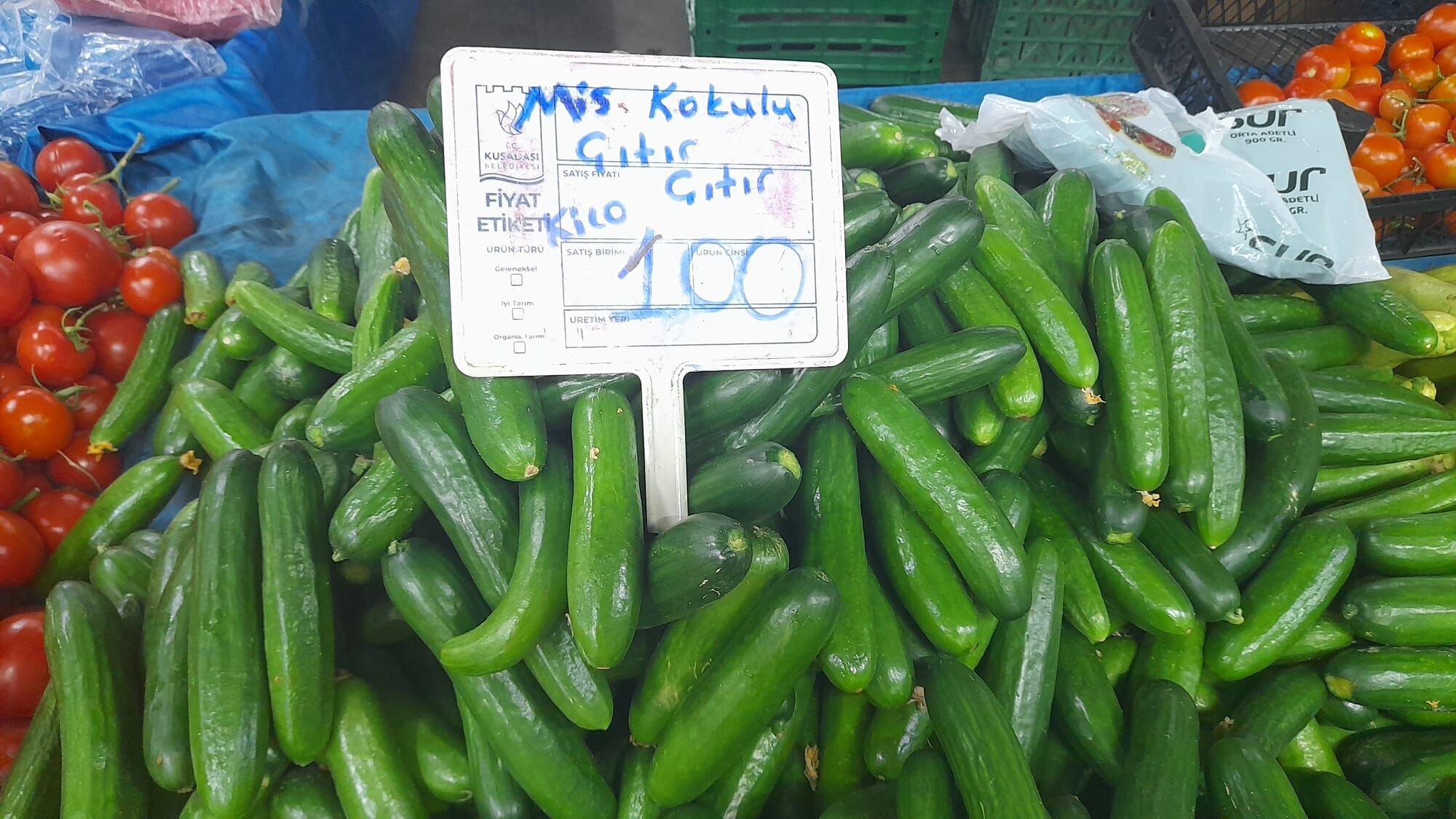 Kusadasinda Sehir Ciftciligi Donemi Basladi 647930 17458394Fa232Cee1399A835288C4136