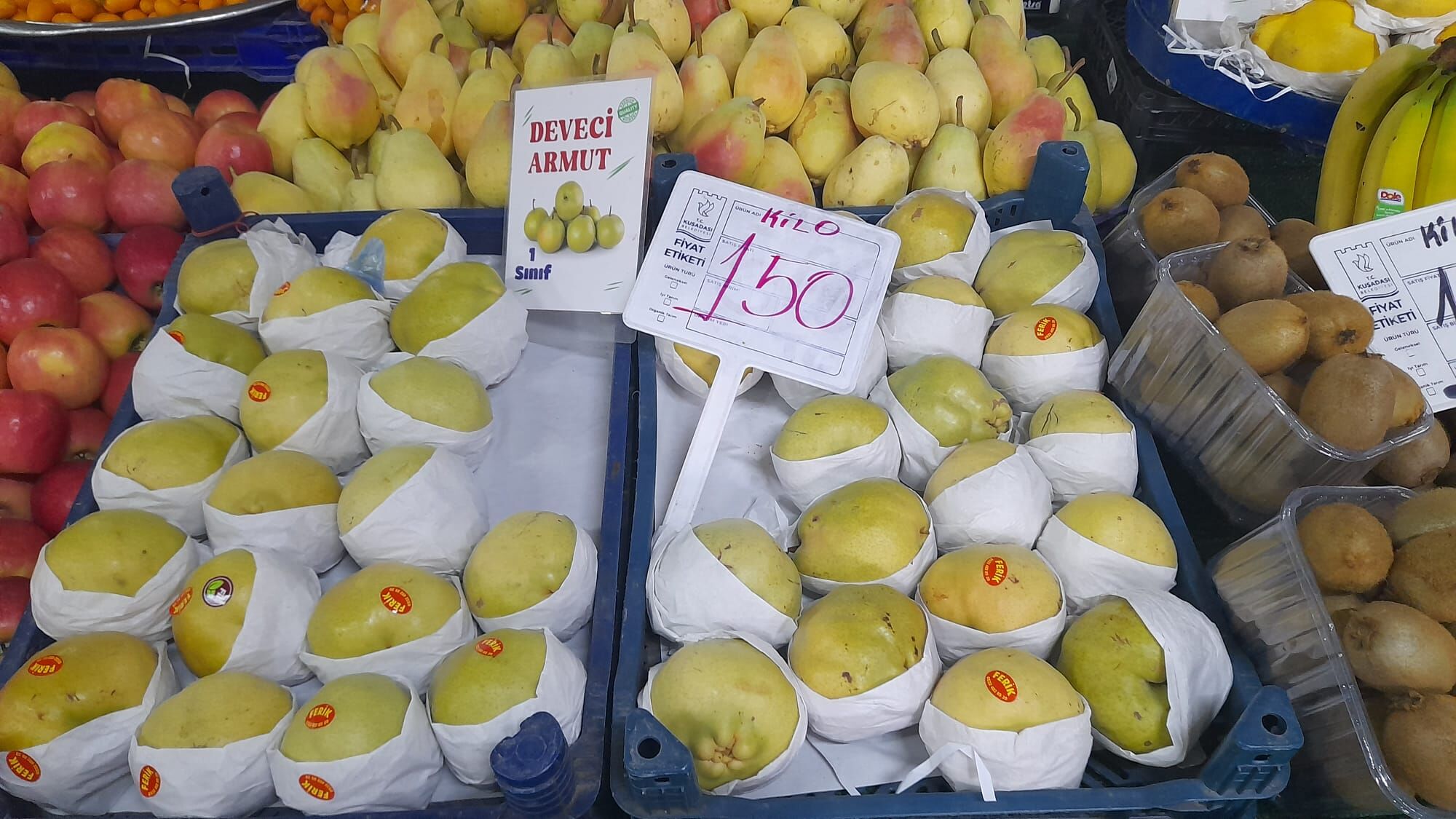 Kusadasinda Sehir Ciftciligi Donemi Basladi 647930 329139391C67722623D5D0E9D80061A6