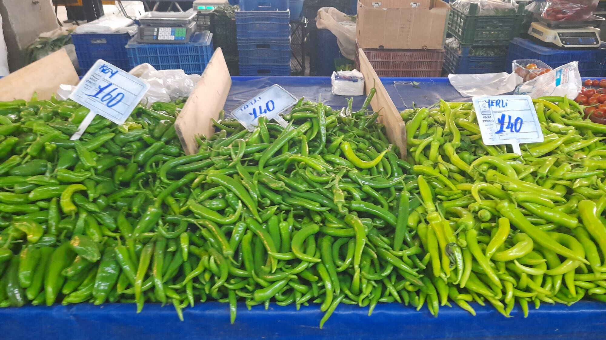 Kusadasinda Sehir Ciftciligi Donemi Basladi 647930 7Abc1369430Ad3105F3A4D4140Bbf7Ee