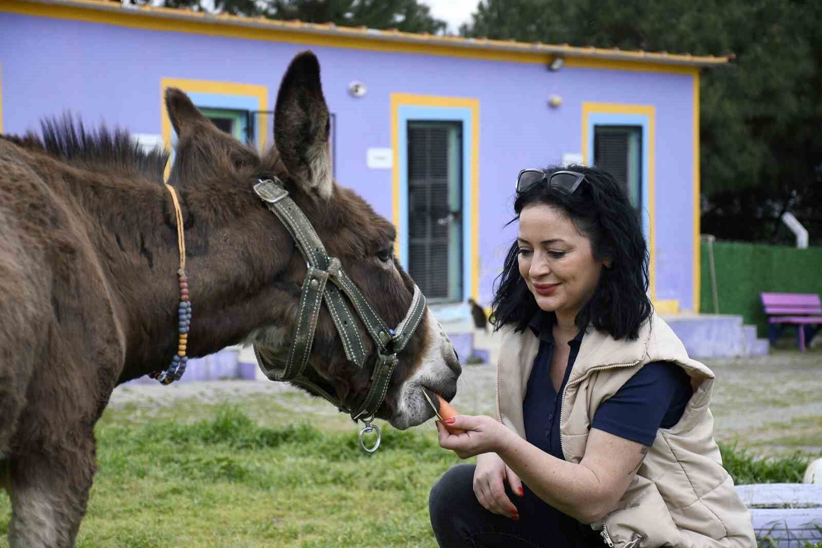 Kusadasindan Saplandigi Camurdan Kurtarilan Esek Koruma Altina Alindi 293A9476Be93264A430Be1E3Db0C22F7