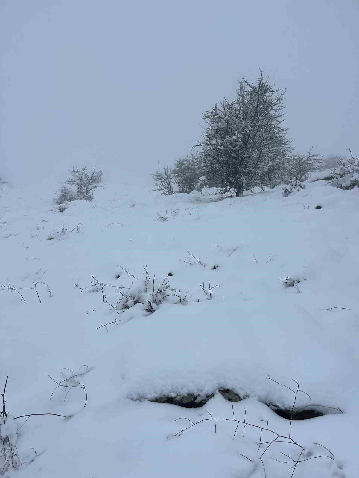 Mart Sonunda Karincali Dagda Kar Surprizi 2256C679290Bb8613A1026Dbe8Cdbfc8