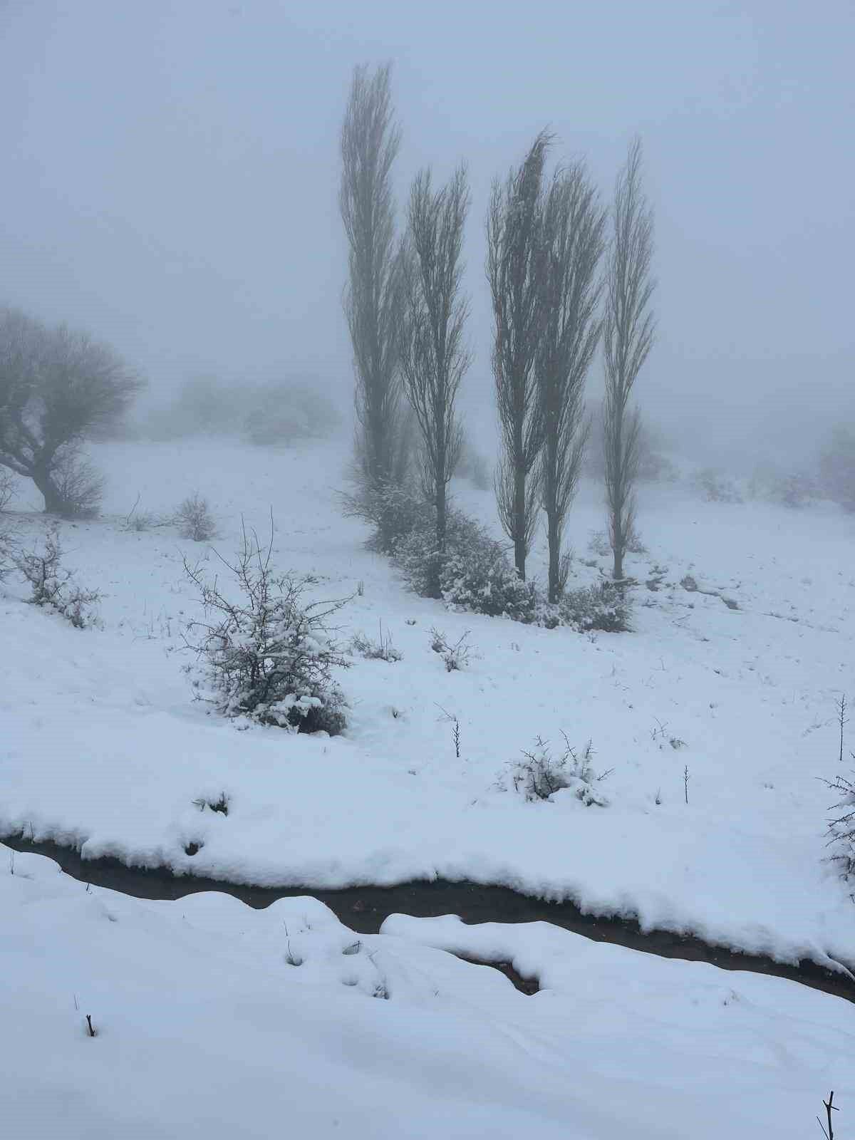 Mart Sonunda Karincali Dagda Kar Surprizi 887005D815B22Be750853381De93F8F3