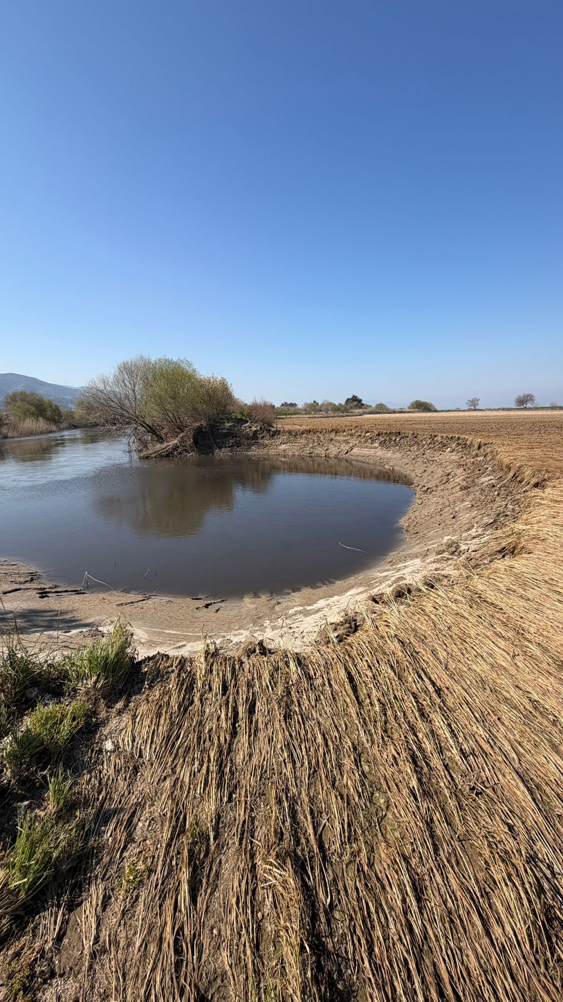 Menderes Patlayinca Incirliovada Devasa Cukur Olusmus 647604 Cbd0Acee96B89B1426Fb2Fa313F69E12