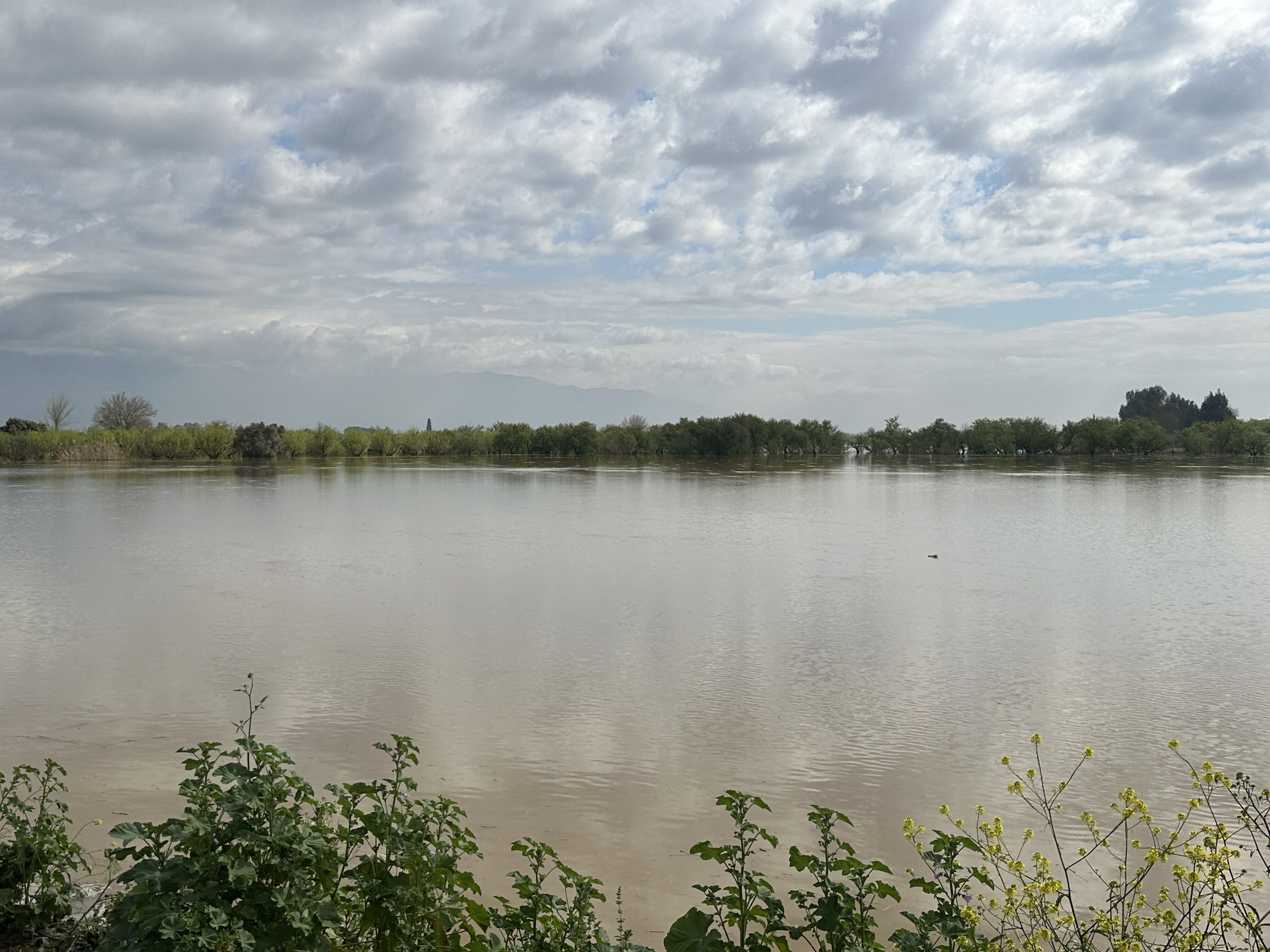 Menderesin Su Seviyesi 55 Metre 651000 635Ac3C4E302C9Ab6Ae6312272127931