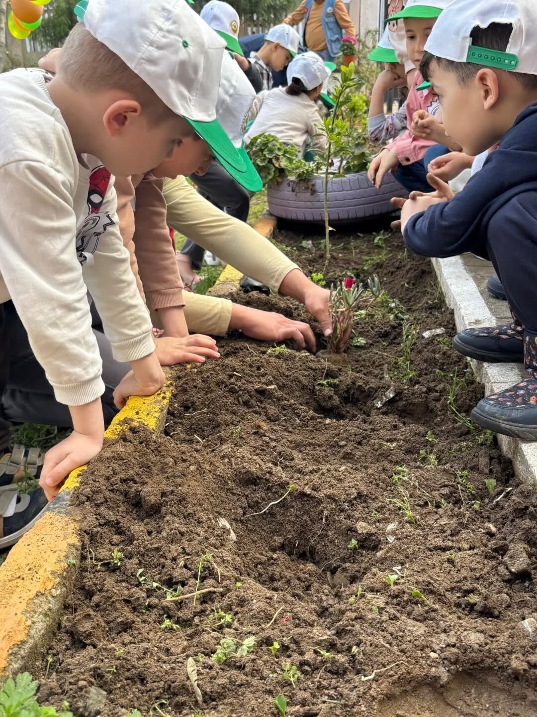 Minik Eller Toprakla Bulustu A890F544Fb77927Adad53B7778Ec95A8