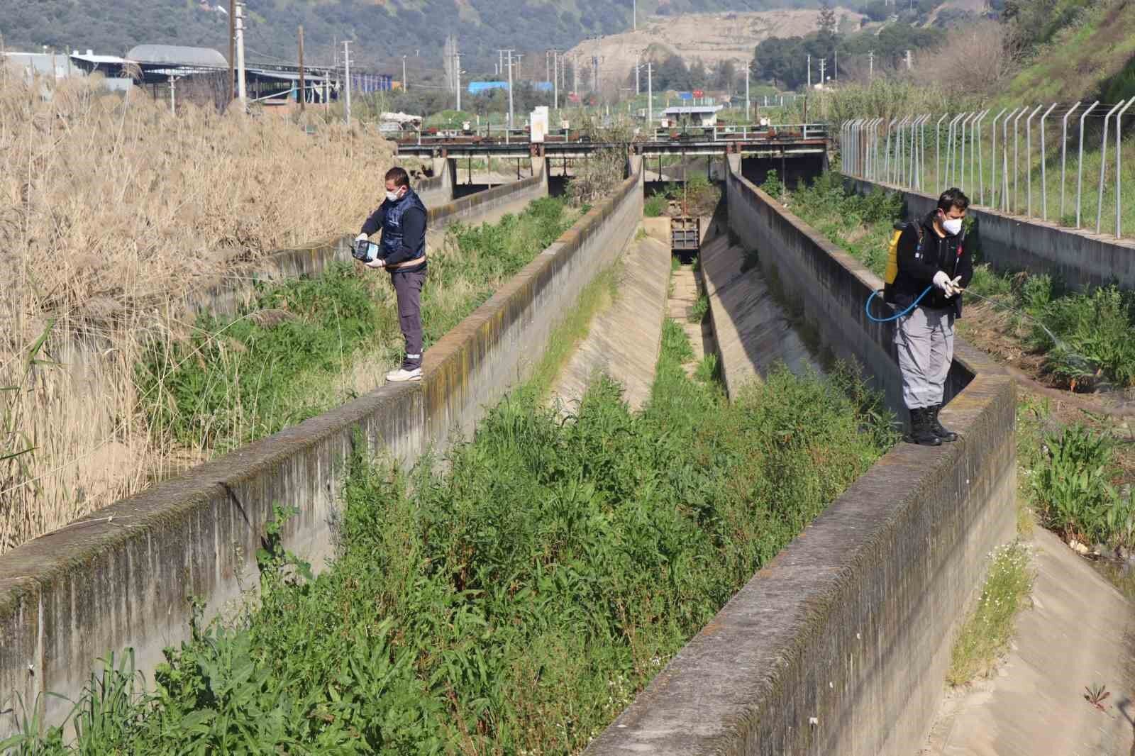 Nazilli Belediyesi Sivrisinek Ve Hasereyle Mucadeleye Kesintisiz Devam Ediyor 37E48396C7Ef8E12F42Ed697595338A8