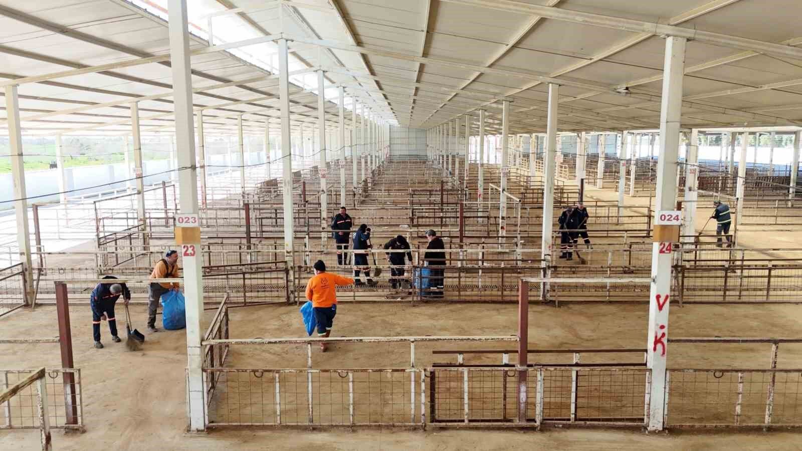 Nazilli Hayvan Pazari 7 Ay Sonra Yeniden Aciliyor 0567Bf5F4F49D31668B4A7430747B185