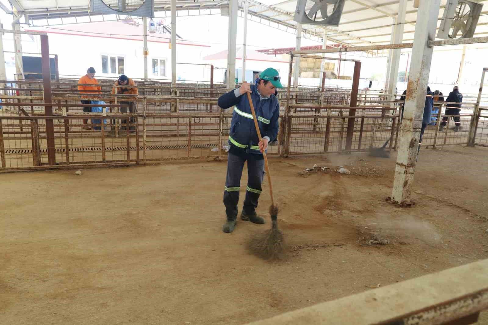 Nazilli Hayvan Pazari 7 Ay Sonra Yeniden Aciliyor 3A0Dd6Def67Dee4B822Ff71Cee937B01