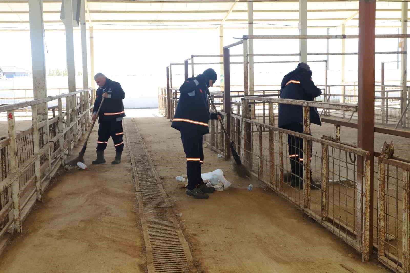 Nazilli Hayvan Pazari 7 Ay Sonra Yeniden Aciliyor 71C84C06962D4506B30271B28B5213D9