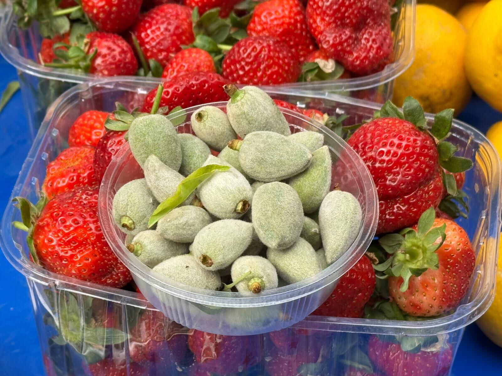 Nazilli Persembe Pazarinda Fiyat Sampiyonu Cagla Oldu 644477 691Aeae2531D05F91034Fe2A2Cc87Bd1