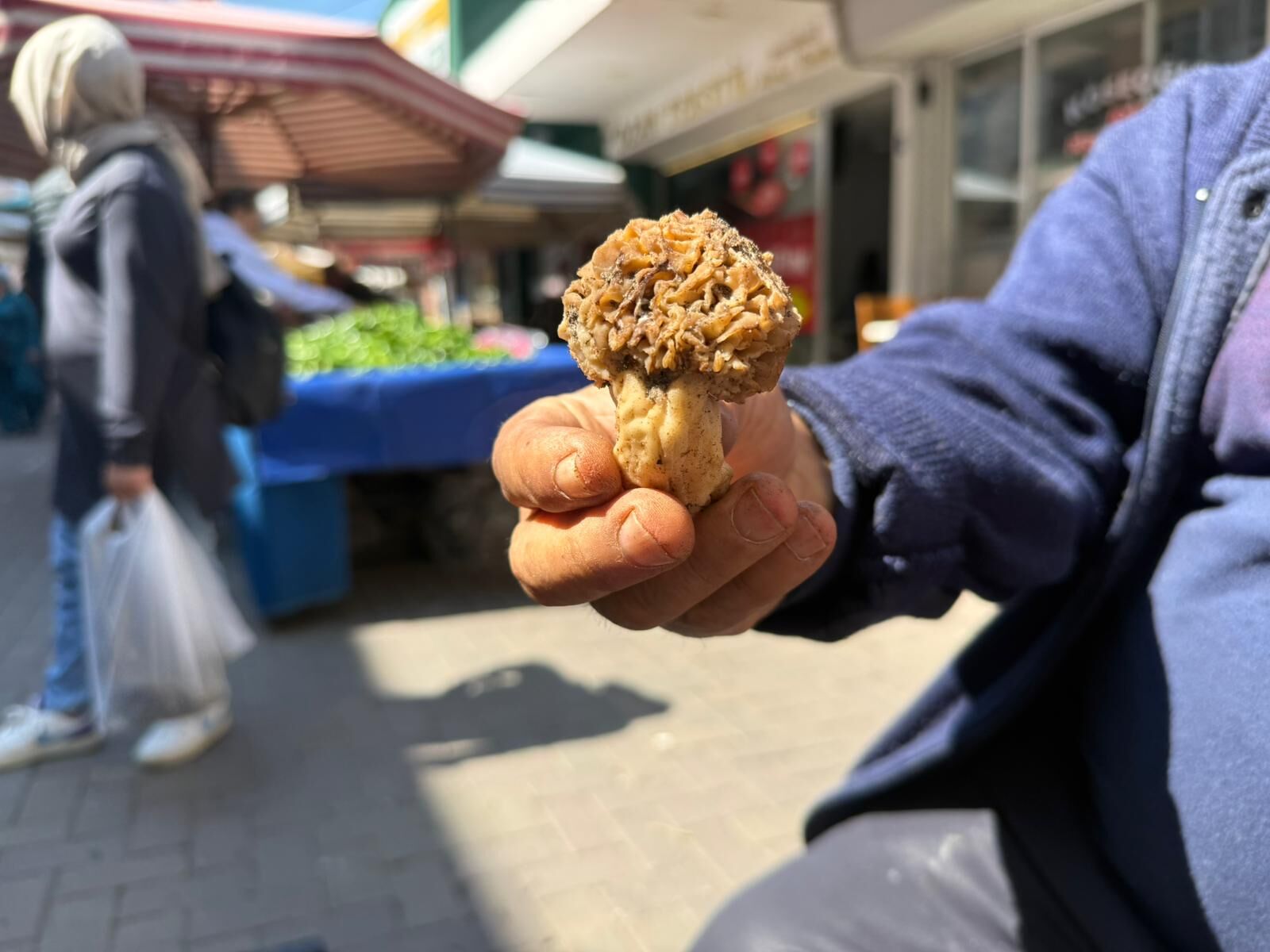 Nazillide Kuzu Gobegi Pazarin Gozdesi Oldu Bu Mantar Altinla Yarisiyor 650109 8Ba232Dbe69F7Bb4220Addb1C4D2A39E