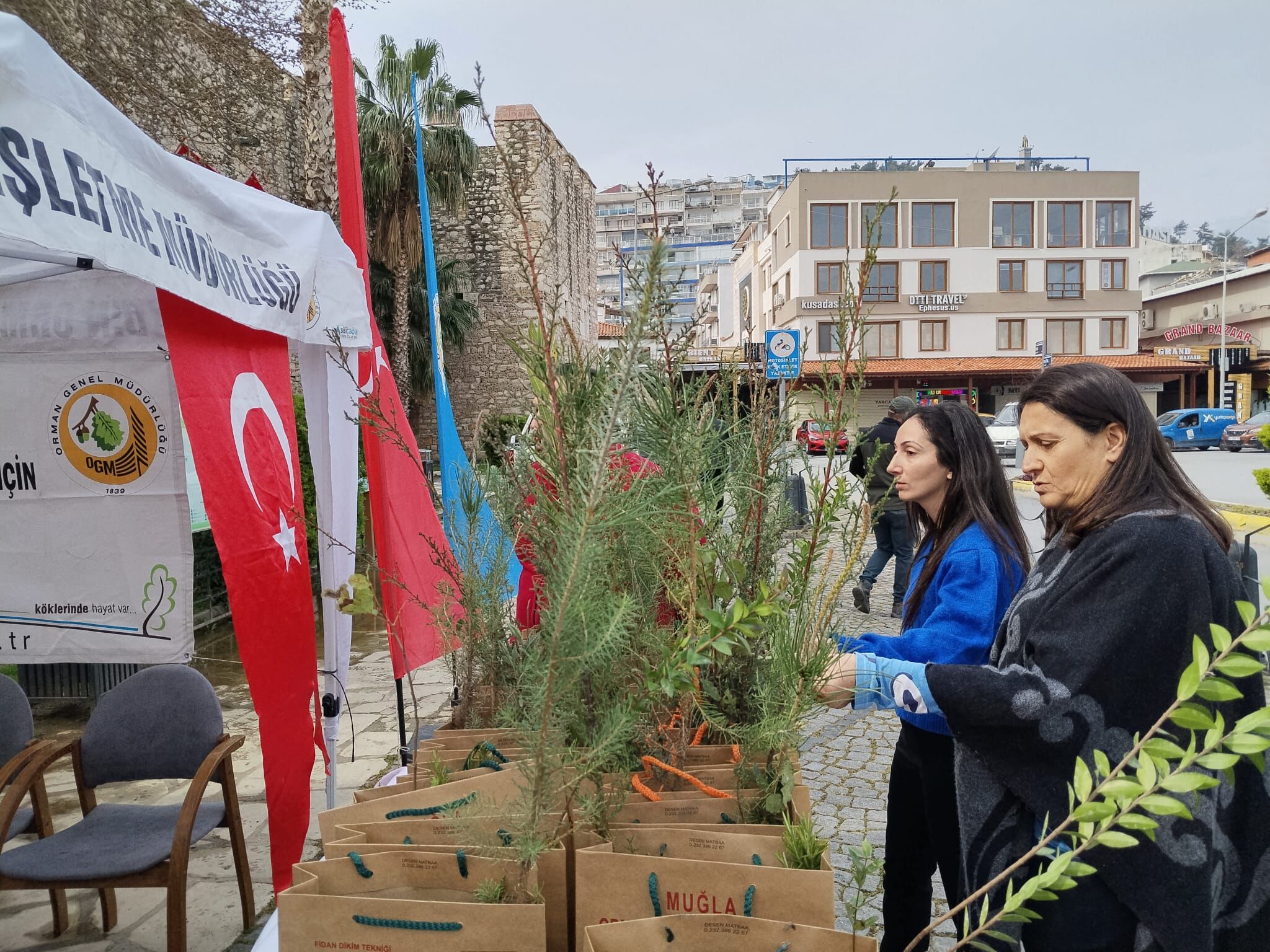 Orman Haftasinda Kusadasina Yesil Hediye 649769 8F8F35908D823Cb723Bc17C9Cba904C7